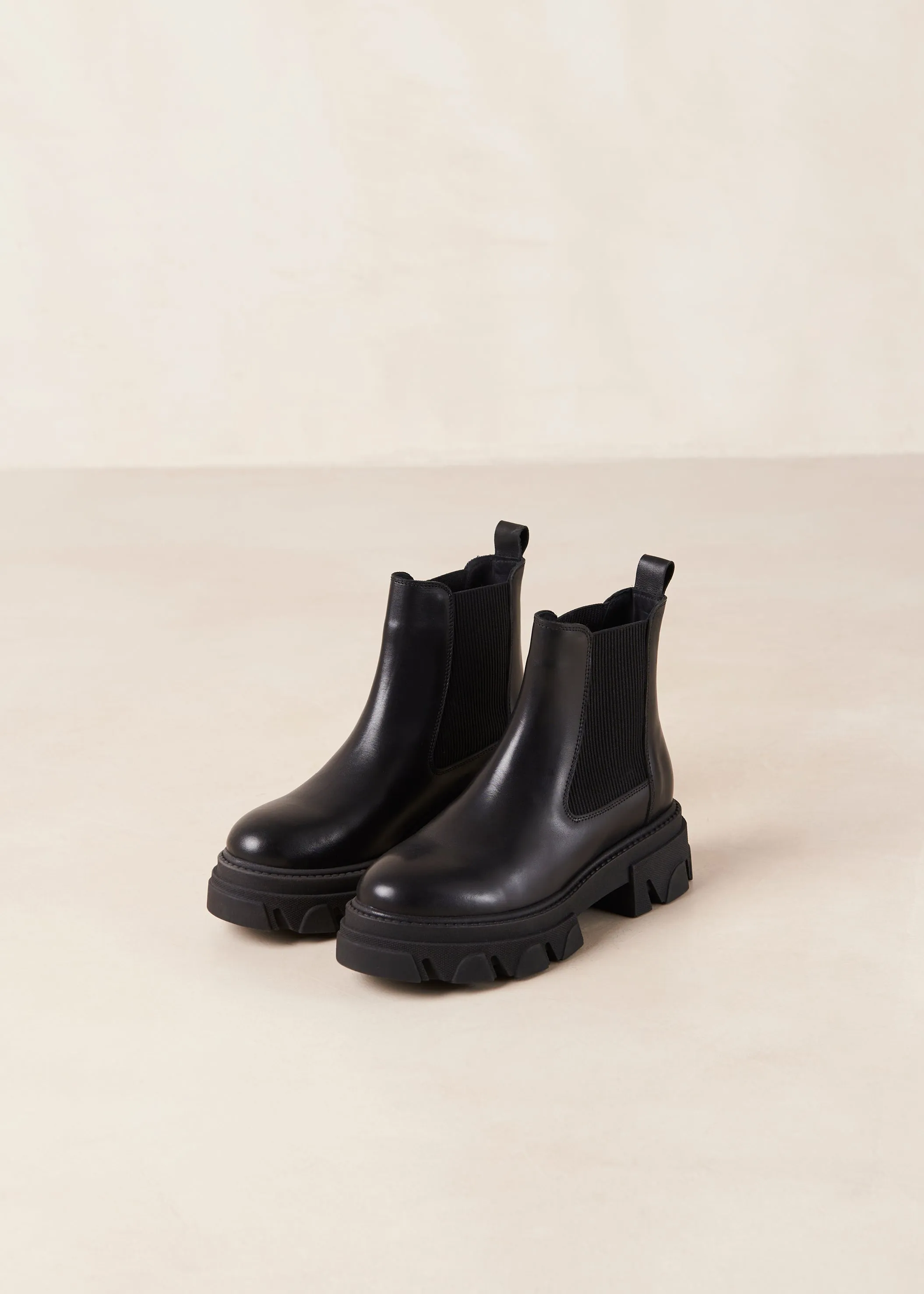 Berenice Black Leather Ankle Boots